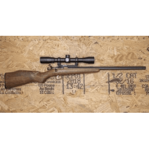 Rogue Chipmunk .22 S/L/LR Police Trade-In Single Shot Rifle with Optic