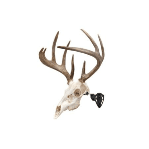 Allen EZ Mount Trophy Skull Hanger - Black