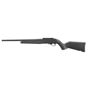 Ruger 10/22 22LR Semi-Auto Rifle with Scope Rail