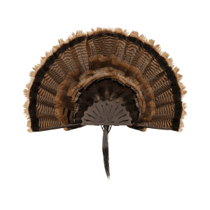 Allen EZ Mount Turkey Mounting Kit Brown