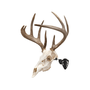 Allen EZ Mount Trophy Skull Hanger European Mount Display Black