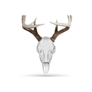 Illusion Systems Llc Skull Master Mount System - White