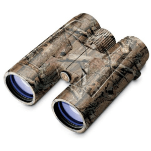 Leupold Blemished Leupold Bx-2 Acadia Binocular - 10x42mm Roof Black