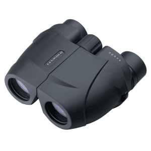 Leupold Bx-1 Rogue Compact Binocular - 8x25mm Inverted Porro Prism Black