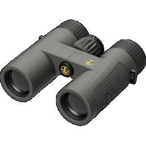 Leupold Bx-4 Pro Guide Hd 10x32mm Roof Prism Binoculars Shadow Gray Armor Coated