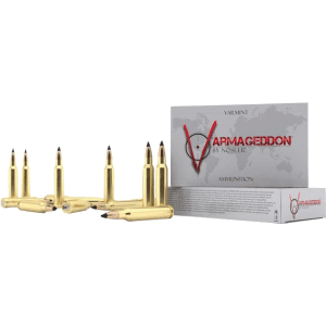 Nosler 65180 Varmageddon 22 Nosler 62 gr Flat Base Hollow Point (FBHP) - 20rd Box