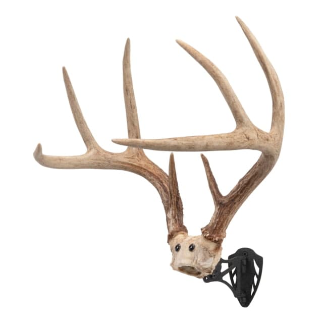 Allen EZ Mount Horn Bracket Black