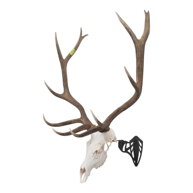 Allen EZ Mount Magnum Skull Hanger Black