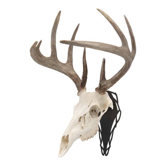 Allen EZ Mount Silhouette Skull Peg Black