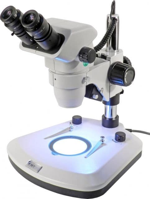 UNICO Binocular Zoom Stereo