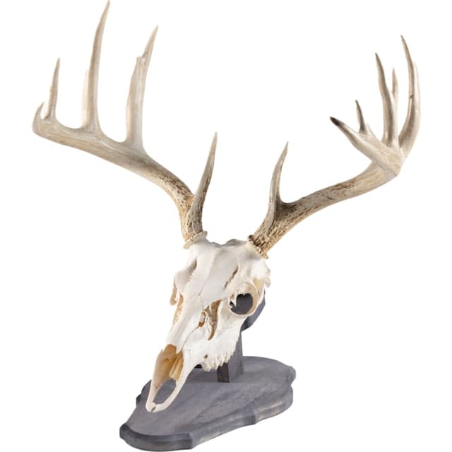 Walnut Hollow Euro Mount Kit Pine