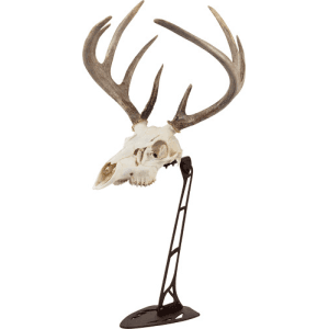 ALLEN EZ MOUNT CENTER SKULL STAND