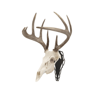 Allen EZ Mount Silhouette Skull Peg European Mount Display