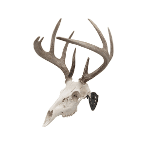 Allen Ez Mount Skull Hanger European Mount Display Black