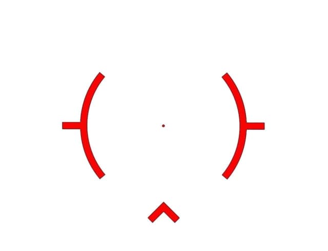 EOTECH OPMOD EXPS2-DCR OP DCR Chevron Reticle Holographic Site Red Dot Sights Black