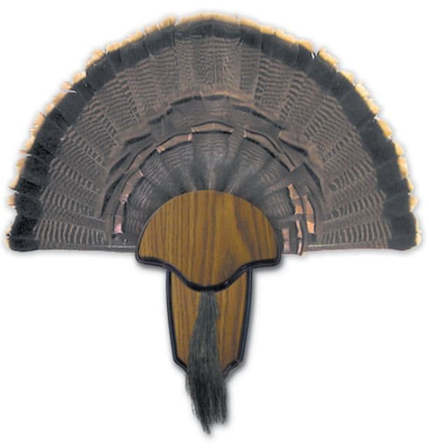 Hunters Specialties Turkey Tail & Beard Mount Kit