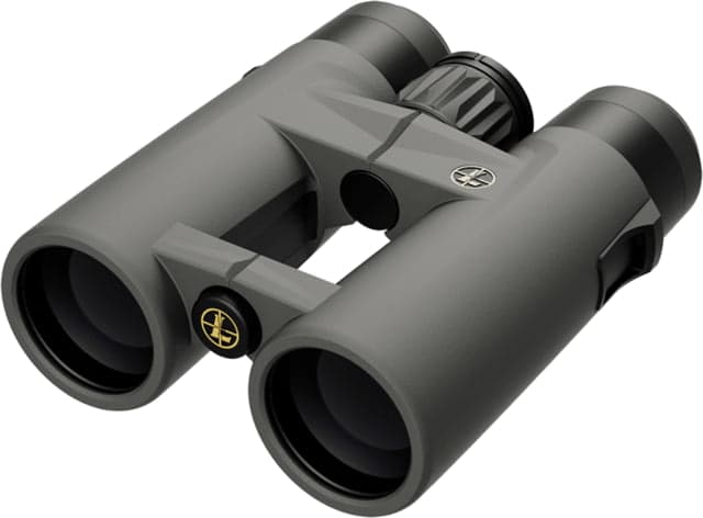 Leupold Gen 2 BX-4 Pro Guide HD 10x42mm Binocular Grey/Black Small